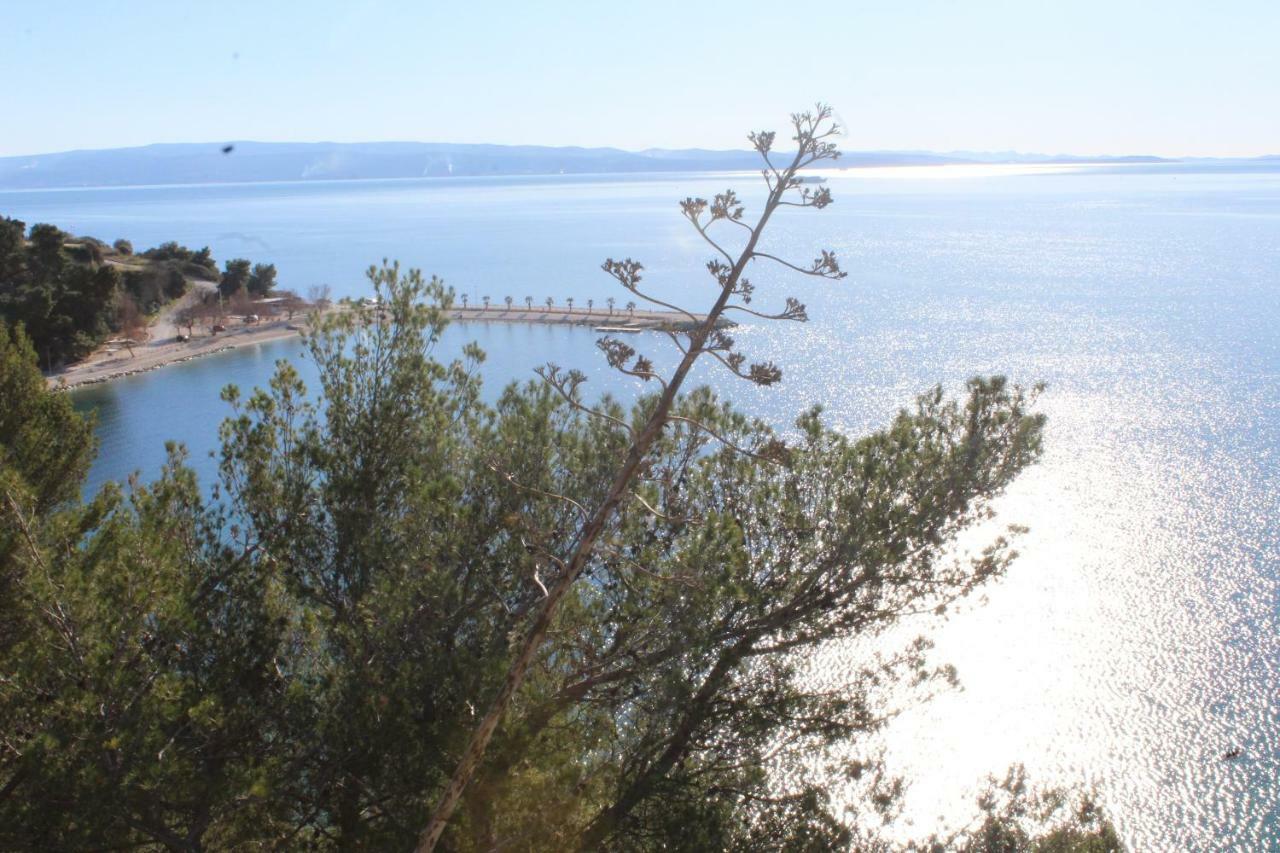 Paradise Apartment With Big Sunny Terrace In The Old Town, Few Meters From The Sea & Riva Promenade สปลิท ภายนอก รูปภาพ